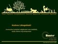 http://www.dreamgarden.hu ismertető oldala